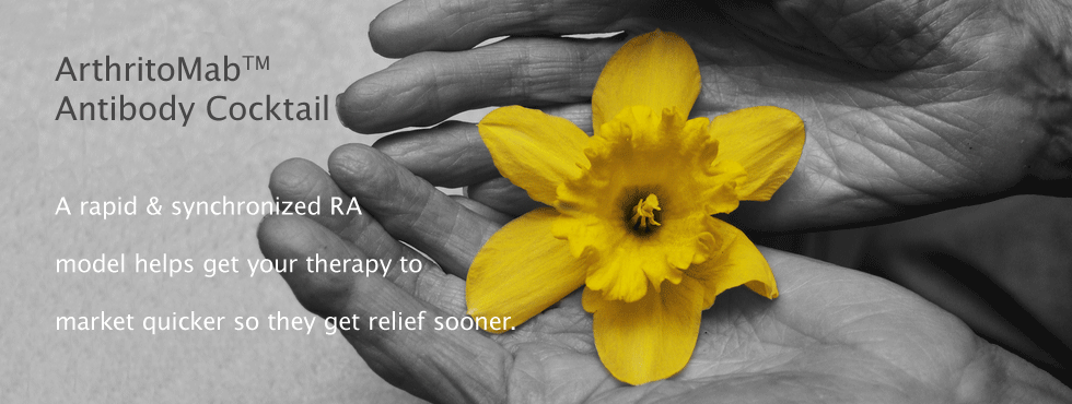 ArthritoMab Antibody Cocktail for the induction of antibody-induced arthriits (CAIA)